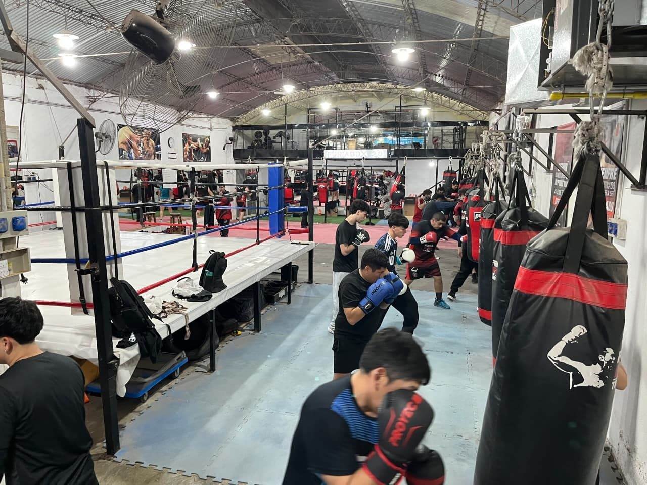 Clase completa entrenando en las bolsas de furiabox