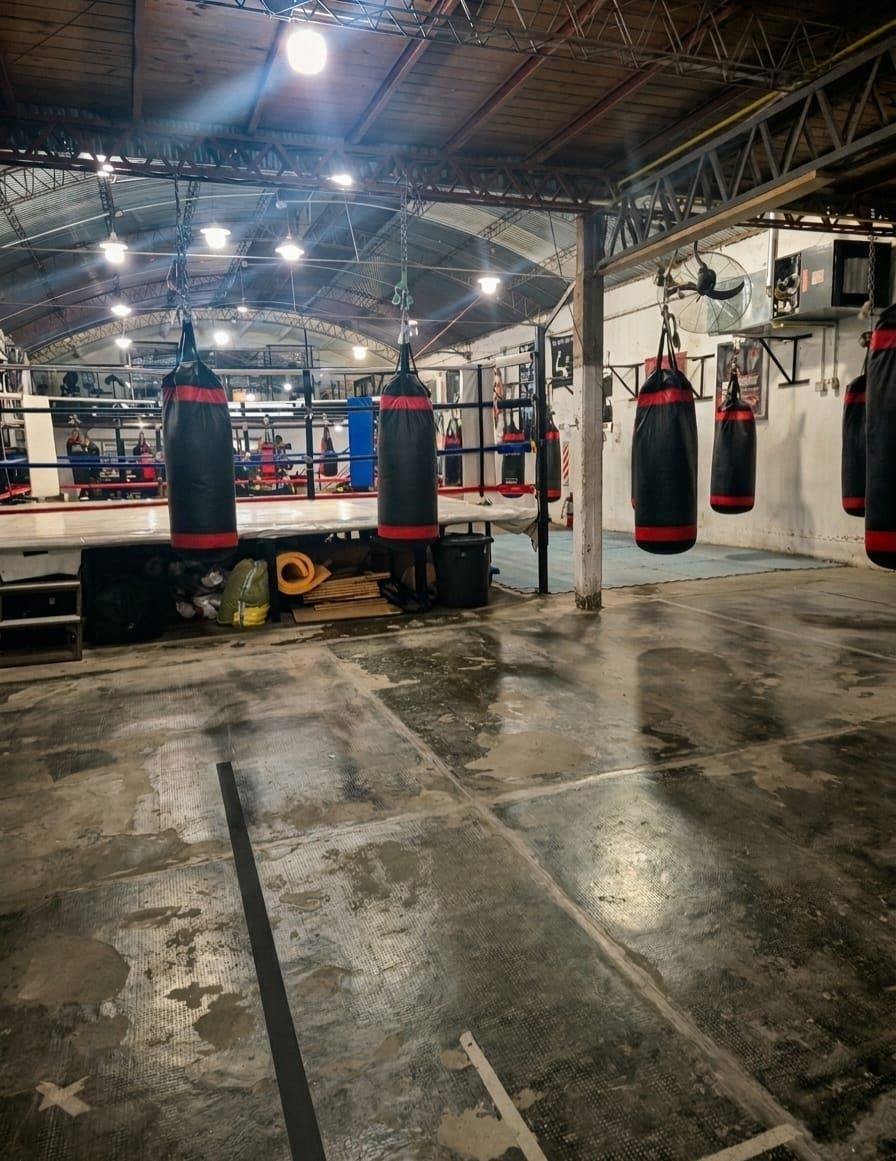Bolsas de boxeo en furiabox